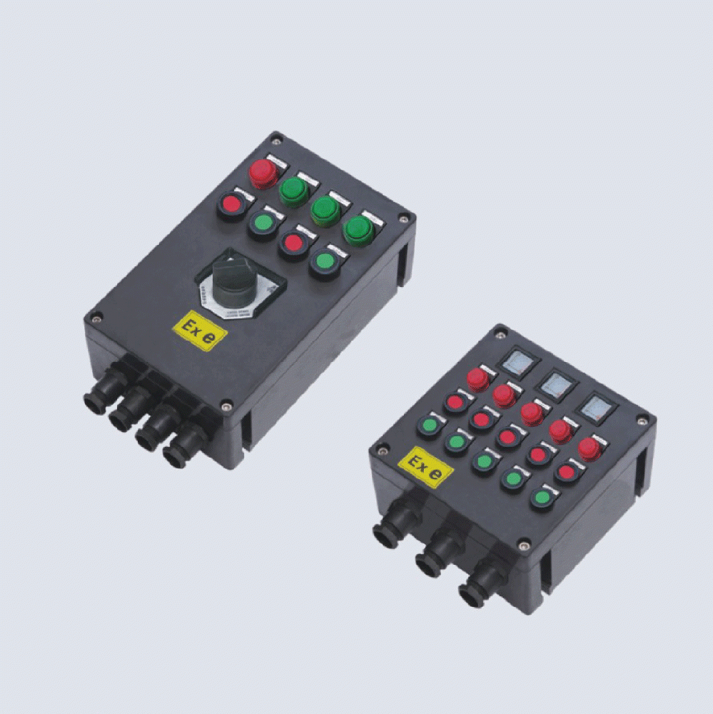 BXK8050-系列防爆防腐控制箱(IIC、 ExtD)