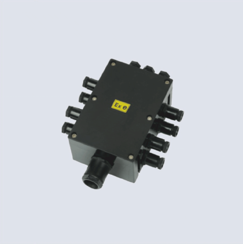 BJX8050系列防爆防腐接線箱(II C、 ExtD)