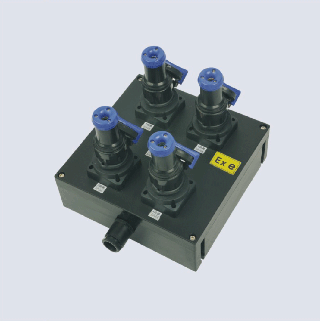 BXX8050-系列防爆防腐檢修電源插座箱(IIC、 ExtD)